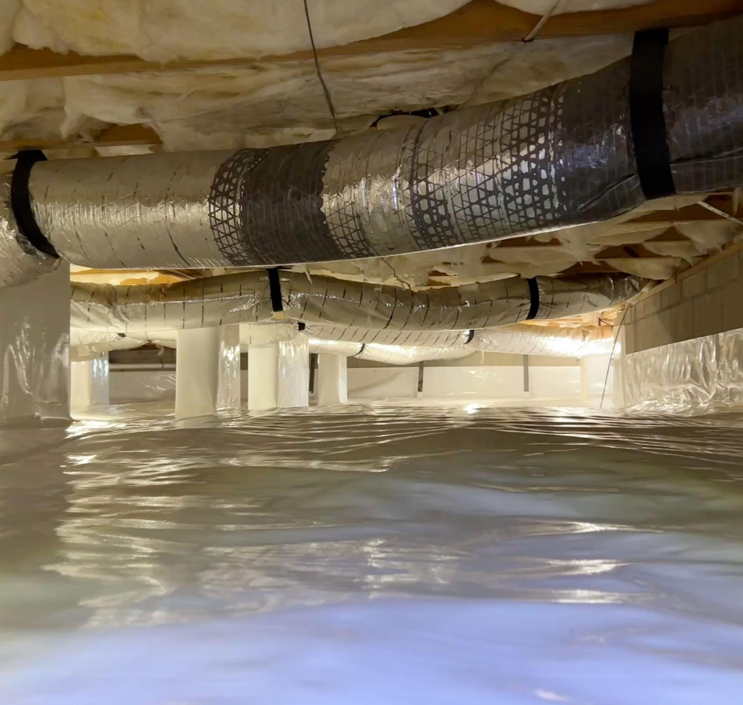 Moisture and Crawl Space