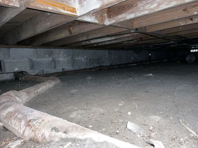 Do I Need Crawl Space Encapsulation? 7 Key Signs