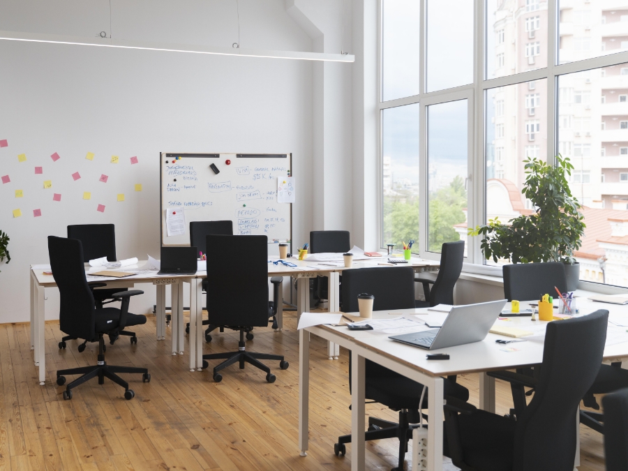 Commercial Pest Control